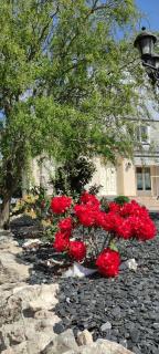 L'Orée des Vignes 41 - Près de Chenonceau et du Zoo de Beauval - 2