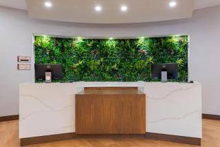 Cambria Hotel Shelby Township - Detroit Utica - Shelby - 6