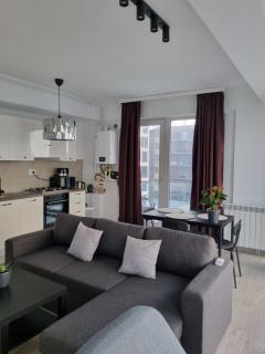 Domus Apartment by Meraki resort&spa - Mamaia - 4