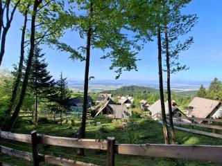 Apartma Maya - Cerklje na Gorenjskem - 3