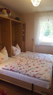Kleines Appartement Mit Gepflegtem Garten - Walkenried - 7