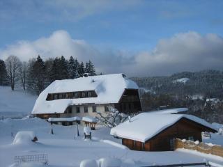 Appartement in Wittenschwand mit Garten und Grill und Panoramablick - Wittenschwand - 0