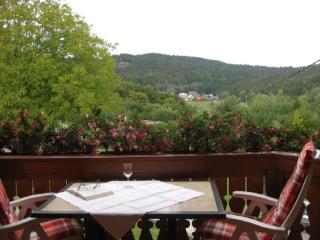 Appartement in Wittenschwand mit Garten und Grill und Panoramablick - Wittenschwand - 9
