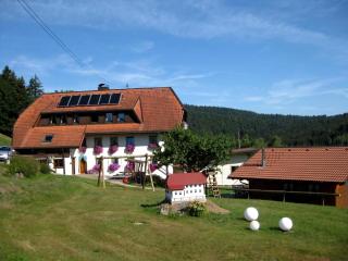 Wohnung In Wittenschwand Mit Garten Und Panorama - Wittenschwand - 0