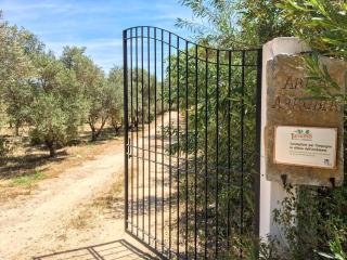 Natur, Ökologische Nachhaltigkeit, Nur Für Erwachsene, Meer In Der Nähe - 3