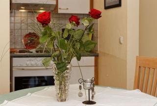 Ferienwohnung In Spiegelau Mit Südbalkon - Spiegelau - 4