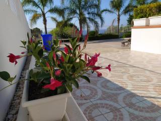 Casa Leandro - Balestrate - 6