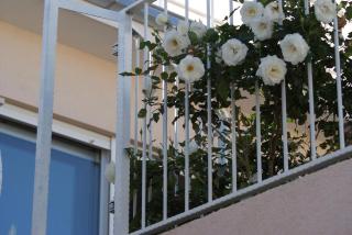 Erdgeschosswohnung Mit Terrasse Und Meerblick - Trogir - 2