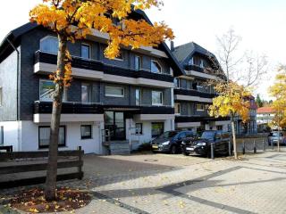 Premiumferienwohnung Mit Boxspringbett - Goslar - 4