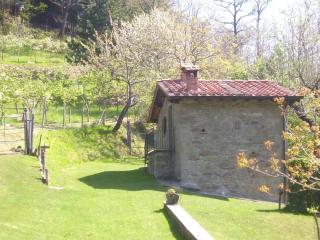 Appartement mit Grill, gemeinsamem Pool und Garten - Bibbiena - 9