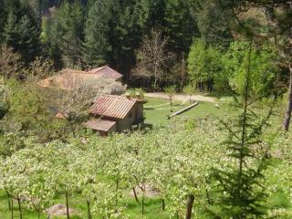 Appartement mit Grill, gemeinsamem Pool und Garten - Bibbiena - 7