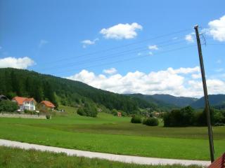 Stacaravan Rozika Slowenien - Slovenj Gradec - 4