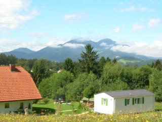 Wohnung Rozika - Slovenj Gradec - 9