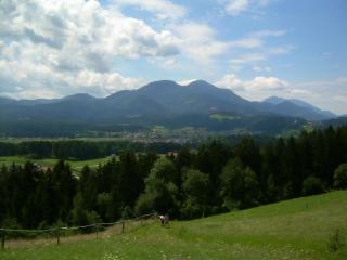 Wohnung Rozika - Slovenj Gradec - 8
