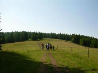 Wohnung Rozika - Slovenj Gradec - 5