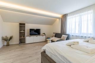 COZY Luxury Collection - Premium Studios Brasov - Braşov - 4