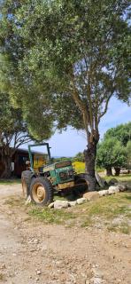 Grande Chambre tout confort 4 - Bonifacio - 1