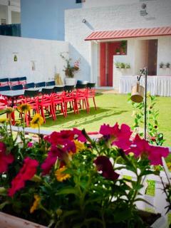 Pink Bramda - Lucknow - 6