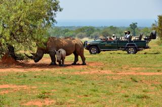 Mabula Game Lodge - Mabula - 3