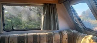 A very neat English caravan for 4 with all amenities and view of the horses - Barão de São João - 5