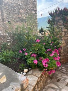 Sunshine 1 - Leonidio - 6