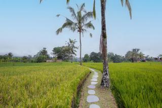 Sebatu Hill Cottage by Great Bali Villas - Tampaksiring - 6