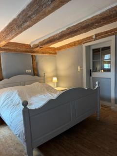 Millers Kate mit Elbblick - 3