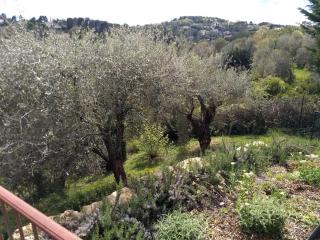 Beautiful private villa with open views - Valbonne - 1