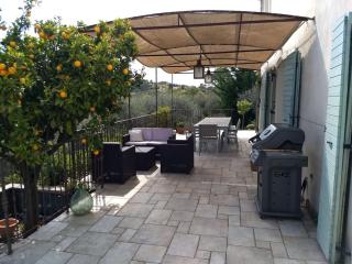 Beautiful private villa with open views - Valbonne - 2