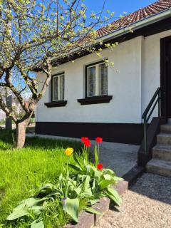 Old house by the stream - Donja Stubica - 0