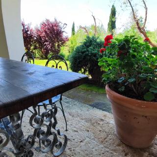 Agriturismo Podere il Fornacino - Santa Luce - 3