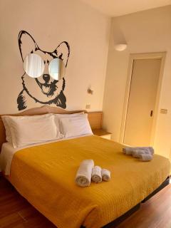Pet Hotel Virginia - Hotel per cani - Rimini - 0