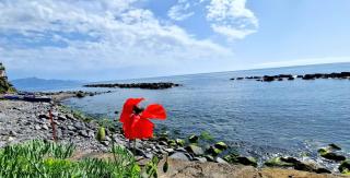 onde dell'etna 12 - Riposto - 6