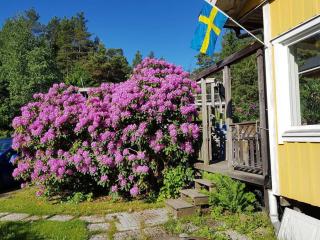 House with sauna near National Park - Tyresö - 9