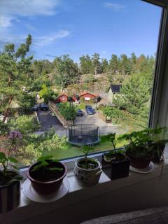 House with sauna near National Park - Tyresö - 2