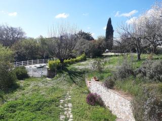 Bed & Breakfast Parco di Veio - Formello - 6