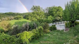 Bed & Breakfast Parco di Veio - Formello - 3