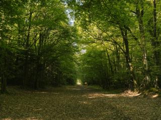 Domaine de Kermadio - Pluneret - 6