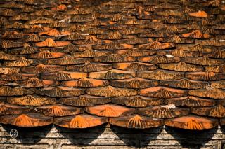 Nham Village Resort - Ninh Binh - 1