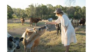 Golden Hill Farmstay by Tiny Away - - 7