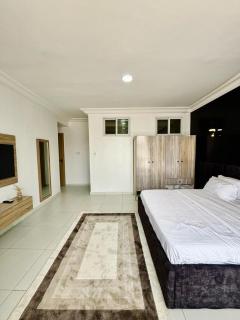 Sleek Luxury 1 Bedroom Apartment - Lagos - 3