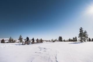 Saariselkä Kelo Lodge - Saariselka - 7
