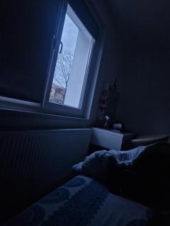 Single room - 2