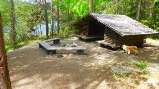 Cozy cottage with sauna at Tyresta close to Stockholm - Tyresö - 4