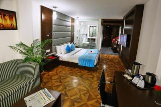 Hotel Noblehaven Near Delhi Airport Unit OF Gross Group - Neu-Delhi - 1
