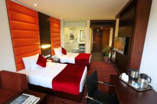 Hotel Noblehaven Near Delhi Airport Unit OF Gross Group - Neu-Delhi - 8