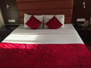 Hotel Noblehaven Near Delhi Airport Unit OF Gross Group - Neu-Delhi - 4