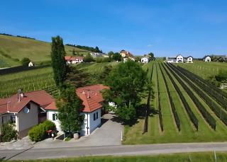 Kellerstöckl - Zur Weinrebe 2 - Eisenberg an der Pinka - 5