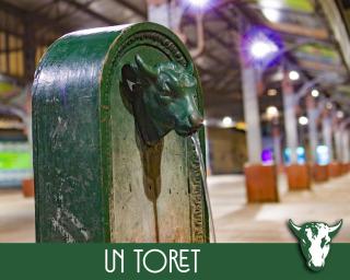 Il Toret - Torino - 1