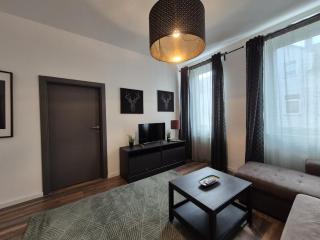 Mikra Homes24 in Crimmitschau - Crimmitschau - 1